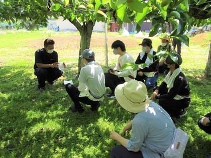 職業体験「梨園」