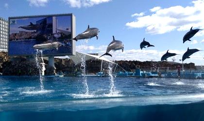 冬の遠足・名古屋港水族館