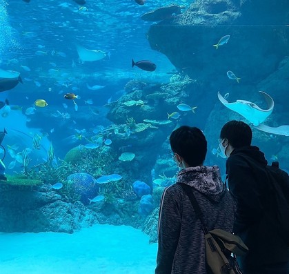 冬の遠足・名古屋港水族館