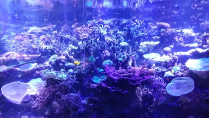 冬の遠足・名古屋港水族館