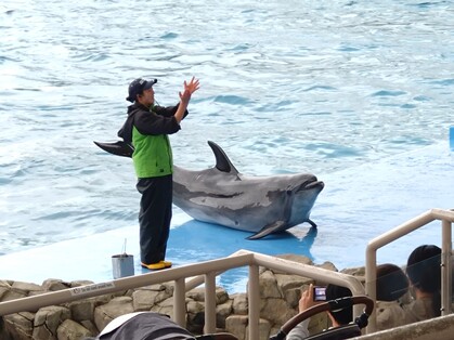 名古屋港水族館