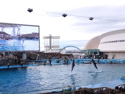 名古屋港水族館