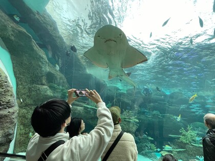 名古屋港水族館