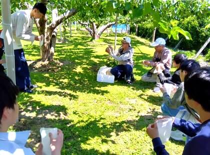 職業体験「梨園」