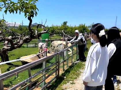 職業体験「梨園」