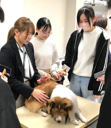 専門学校出前講座 DAY➀ トリマー体験