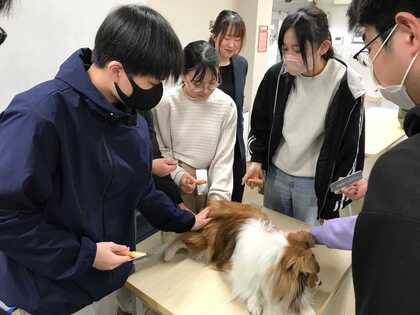 専門学校出前講座 DAY➀ トリマー体験