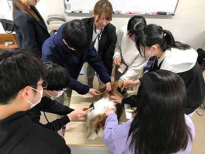 専門学校出前講座 DAY➀ トリマー体験