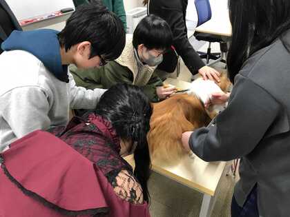 専門学校出前講座 DAY➀ トリマー体験