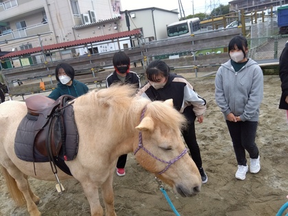 乗馬体験 in サーバントホース