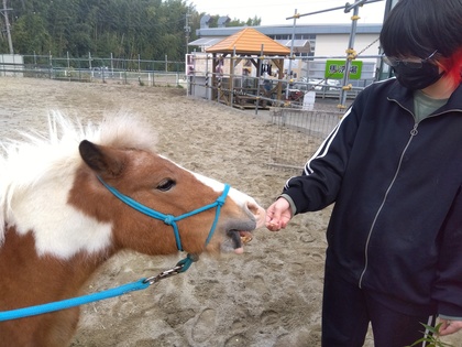 乗馬体験 in サーバントホース