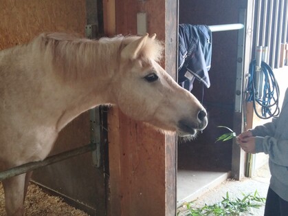 乗馬体験 in サーバントホース