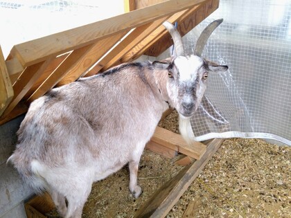 乗馬体験 in サーバントホース