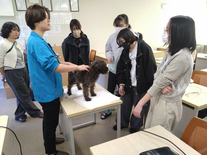 専門学校出前講座「ベルフォート美容専門学校」「名古屋ビジネスアカデミー」