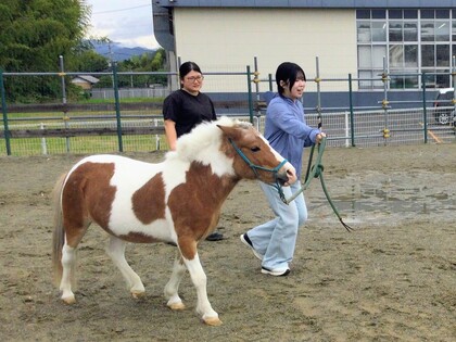 乗馬体験 in サーバントホース