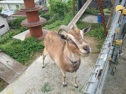 乗馬体験 in サーバントホース