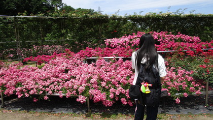 花フェスタ記念公園