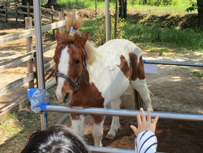 親子ハイキング