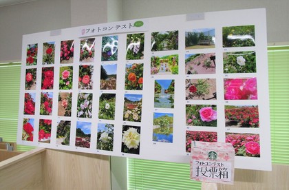 花フェスタ「フォトコンテスト」